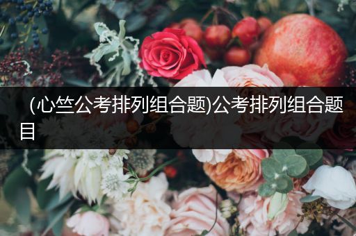 （心竺公考排列组合题)公考排列组合题目