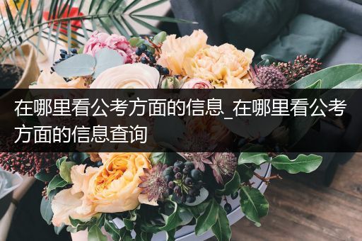 在哪里看公考方面的信息_在哪里看公考方面的信息查询