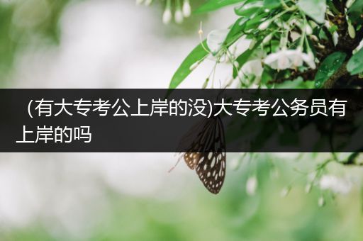 （有大专考公上岸的没)大专考公务员有上岸的吗