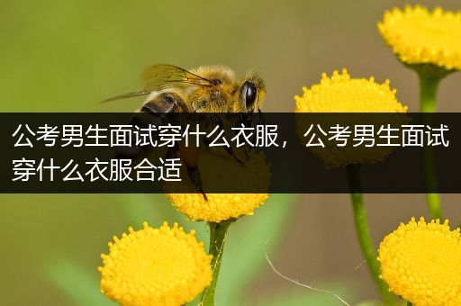 公考男生面试穿什么衣服，公考男生面试穿什么衣服合适