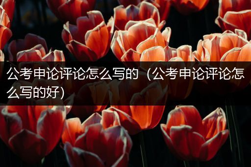 公考申论评论怎么写的（公考申论评论怎么写的好）