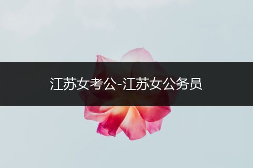 江苏女考公-江苏女公务员