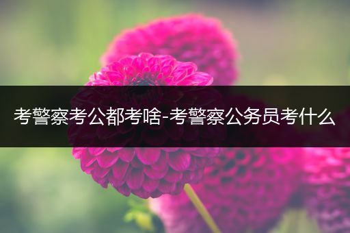 考警察考公都考啥-考警察公务员考什么