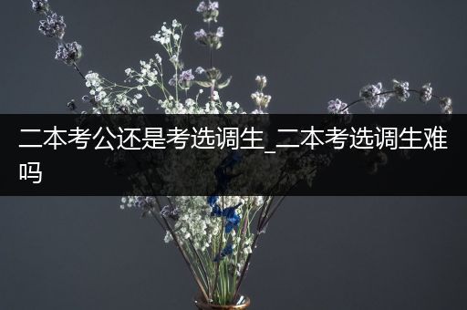 二本考公还是考选调生_二本考选调生难吗