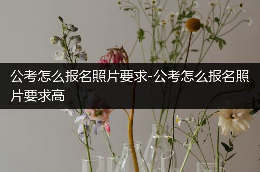 公考怎么报名照片要求-公考怎么报名照片要求高