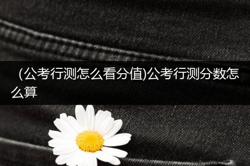 （公考行测怎么看分值)公考行测分数怎么算