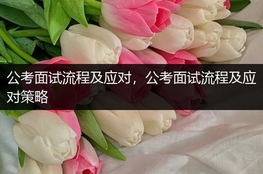 公考面试流程及应对，公考面试流程及应对策略