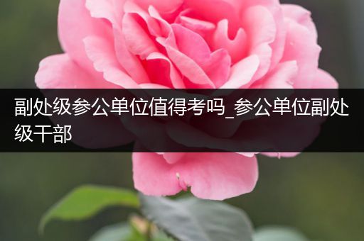 副处级参公单位值得考吗_参公单位副处级干部