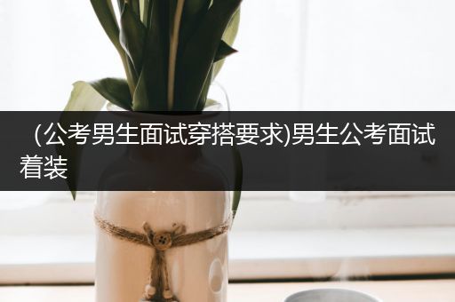（公考男生面试穿搭要求)男生公考面试着装