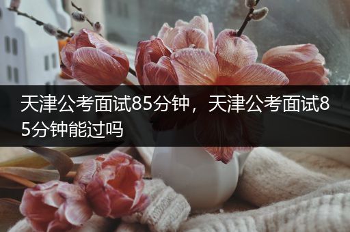 天津公考面试85分钟，天津公考面试85分钟能过吗