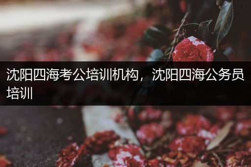 沈阳四海考公培训机构，沈阳四海公务员培训