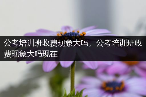 公考培训班收费现象大吗，公考培训班收费现象大吗现在