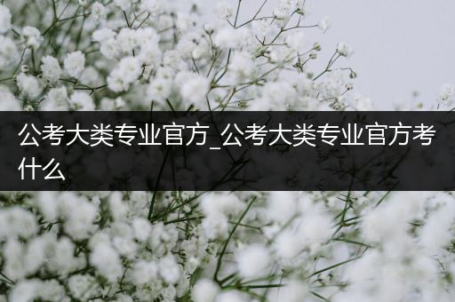 公考大类专业官方_公考大类专业官方考什么