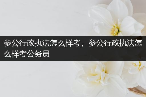参公行政执法怎么样考，参公行政执法怎么样考公务员