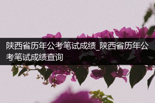 陕西省历年公考笔试成绩_陕西省历年公考笔试成绩查询