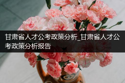 甘肃省人才公考政策分析_甘肃省人才公考政策分析报告
