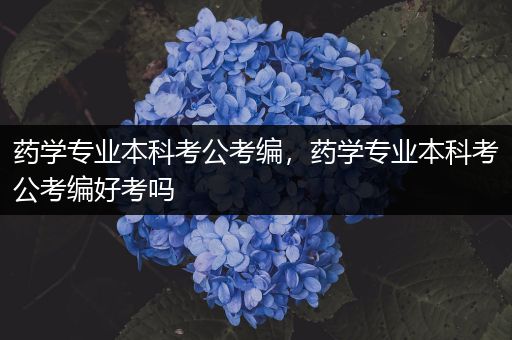 药学专业本科考公考编，药学专业本科考公考编好考吗