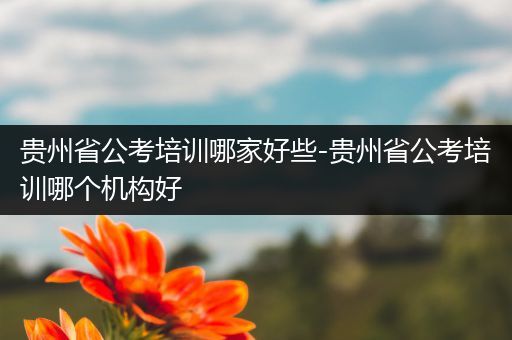 贵州省公考培训哪家好些-贵州省公考培训哪个机构好