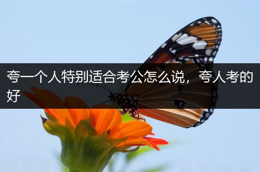 夸一个人特别适合考公怎么说，夸人考的好