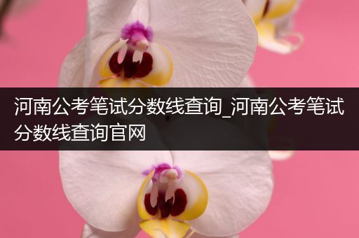 河南公考笔试分数线查询_河南公考笔试分数线查询官网