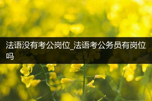 法语没有考公岗位_法语考公务员有岗位吗