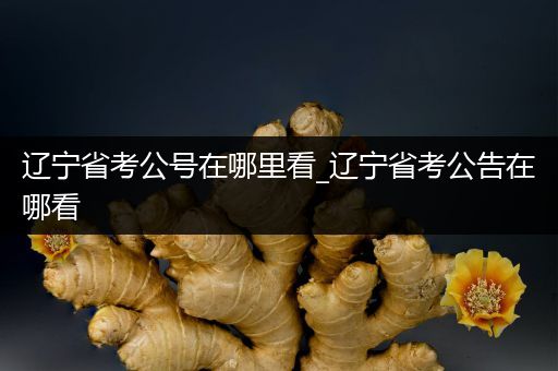 辽宁省考公号在哪里看_辽宁省考公告在哪看