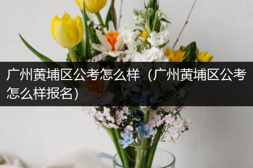 广州黄埔区公考怎么样（广州黄埔区公考怎么样报名）