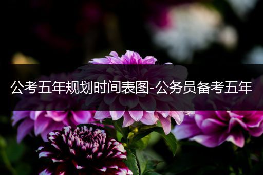 公考五年规划时间表图-公务员备考五年