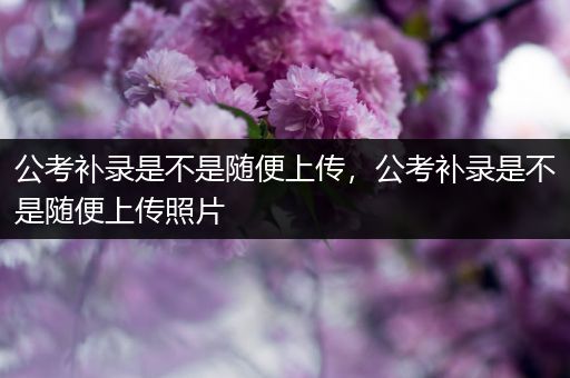 公考补录是不是随便上传，公考补录是不是随便上传照片