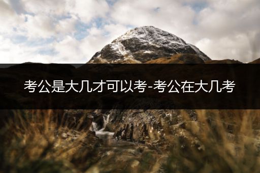 考公是大几才可以考-考公在大几考