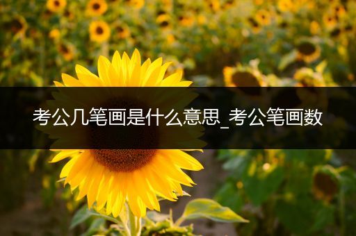 考公几笔画是什么意思_考公笔画数