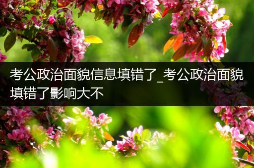 考公政治面貌信息填错了_考公政治面貌填错了影响大不