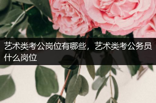 艺术类考公岗位有哪些，艺术类考公务员什么岗位