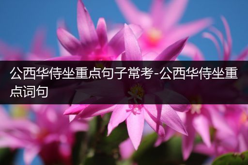 公西华侍坐重点句子常考-公西华侍坐重点词句