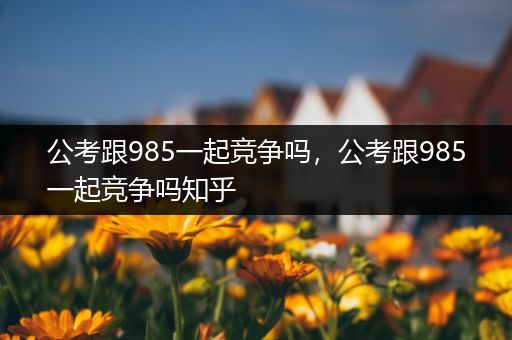 公考跟985一起竞争吗，公考跟985一起竞争吗知乎