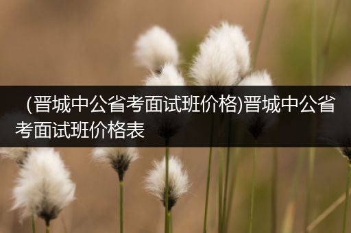 （晋城中公省考面试班价格)晋城中公省考面试班价格表