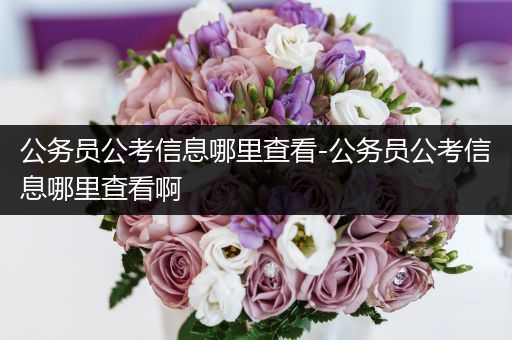 公务员公考信息哪里查看-公务员公考信息哪里查看啊