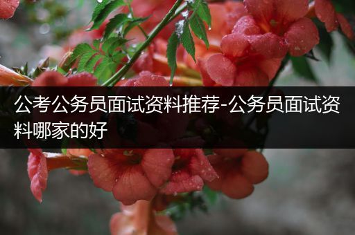 公考公务员面试资料推荐-公务员面试资料哪家的好