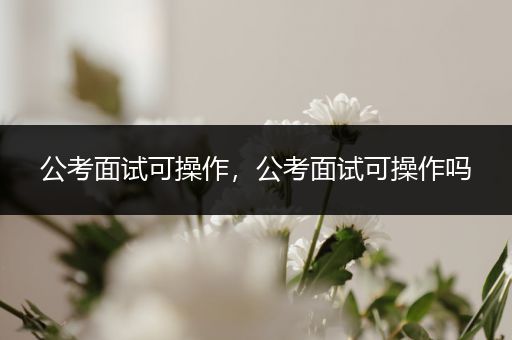 公考面试可操作，公考面试可操作吗