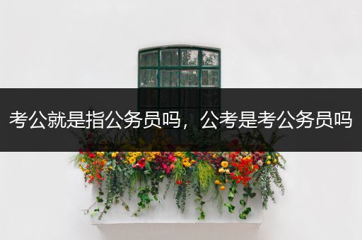 考公就是指公务员吗，公考是考公务员吗