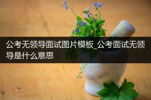 公考无领导面试图片模板_公考面试无领导是什么意思