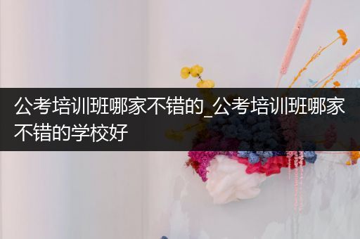 公考培训班哪家不错的_公考培训班哪家不错的学校好