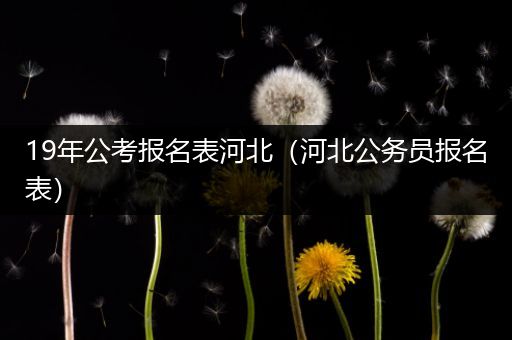 19年公考报名表河北（河北公务员报名表）