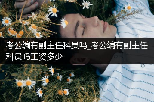 考公编有副主任科员吗_考公编有副主任科员吗工资多少