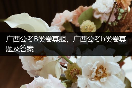 广西公考B类卷真题，广西公考b类卷真题及答案