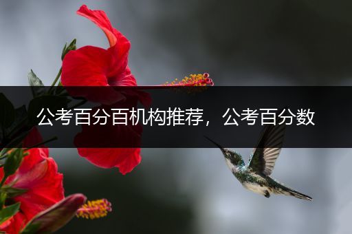 公考百分百机构推荐，公考百分数