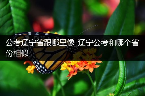 公考辽宁省跟哪里像_辽宁公考和哪个省份相似