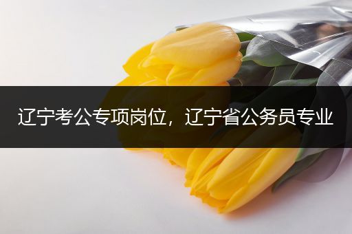 辽宁考公专项岗位，辽宁省公务员专业