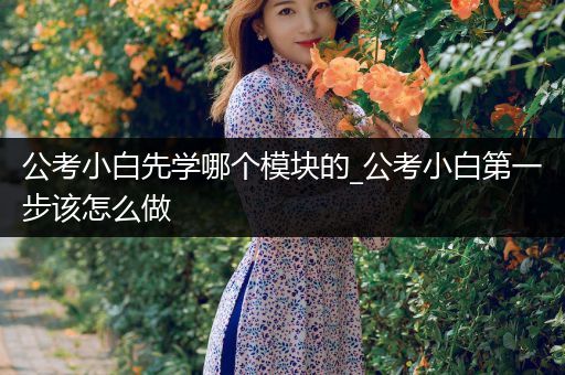 公考小白先学哪个模块的_公考小白第一步该怎么做