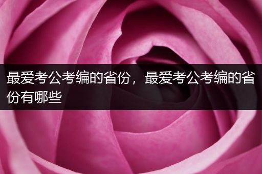 最爱考公考编的省份，最爱考公考编的省份有哪些